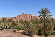 59_Ouarzazate_4.JPG.900x900_q90.jpg