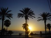 tenerife.jpg